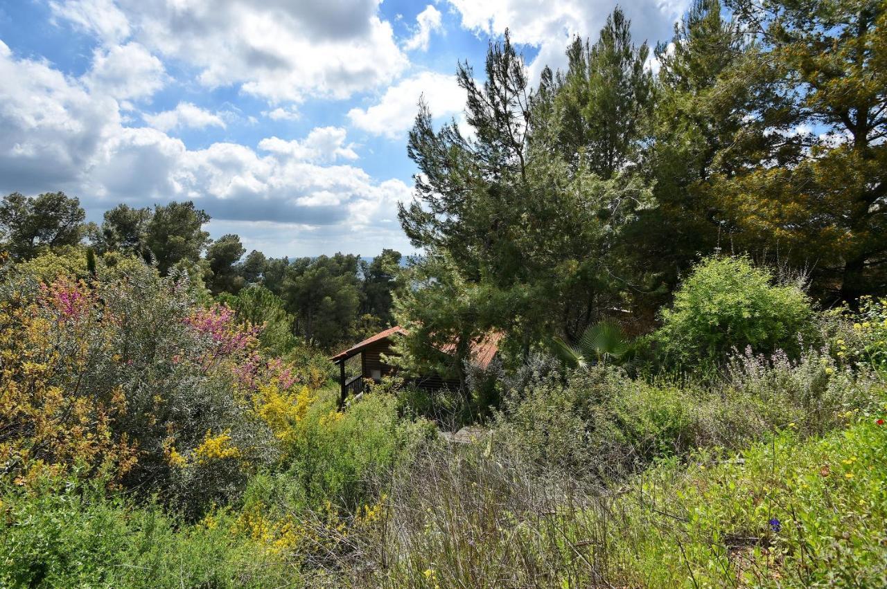 Zimmers At The Forest Amirim Exterior photo