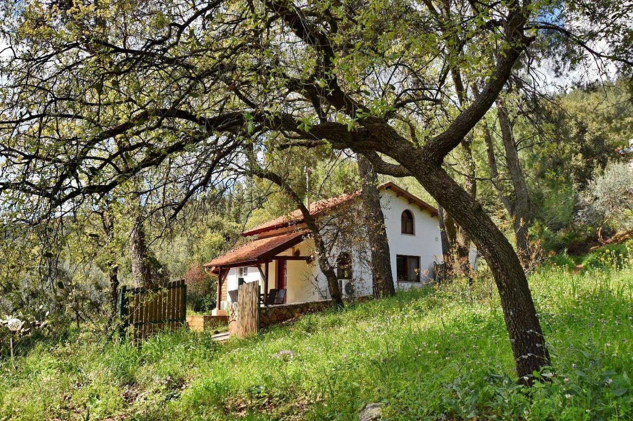 Zimmers At The Forest Amirim Exterior photo