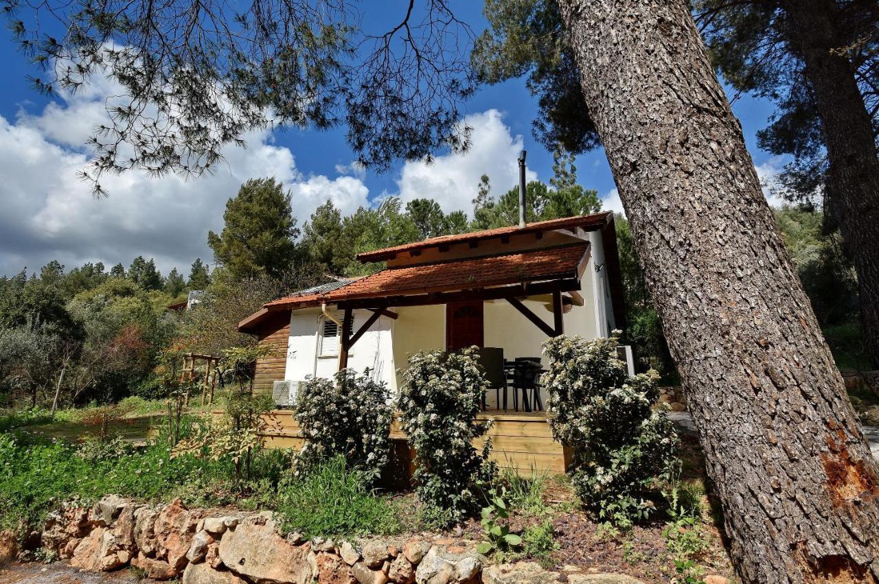 Zimmers At The Forest Amirim Exterior photo