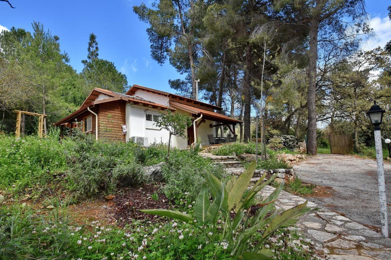 Zimmers At The Forest Amirim Exterior photo