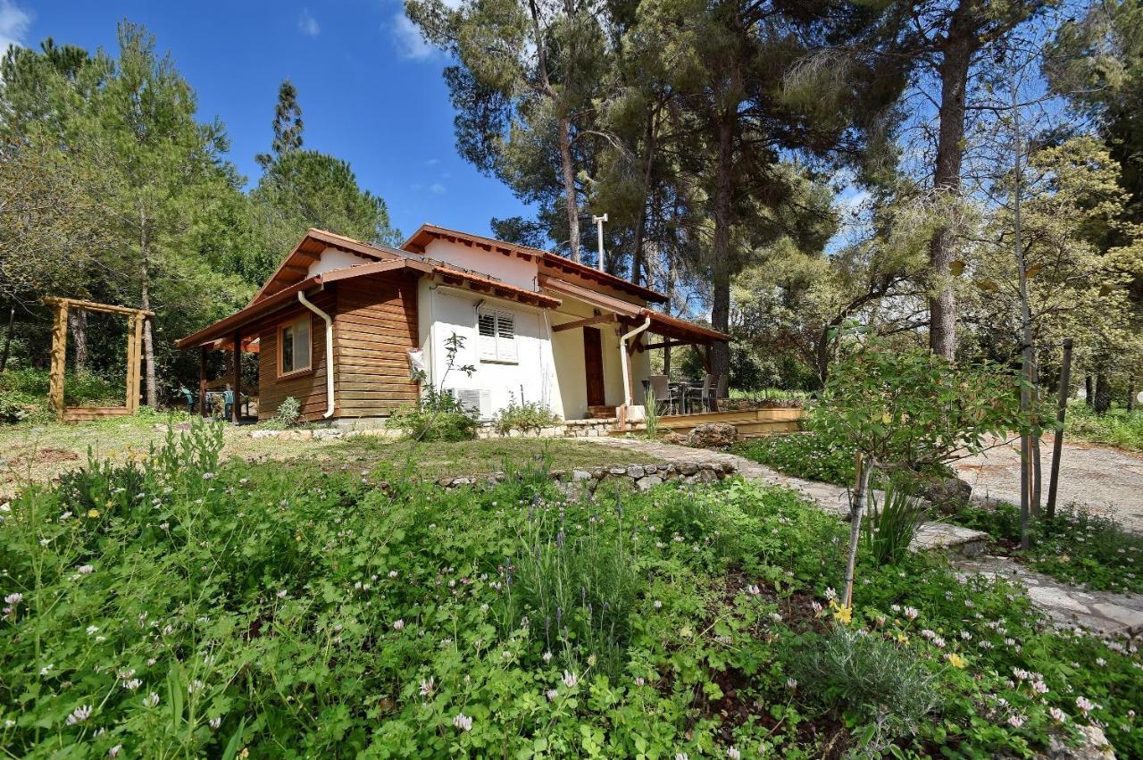 Zimmers At The Forest Amirim Exterior photo