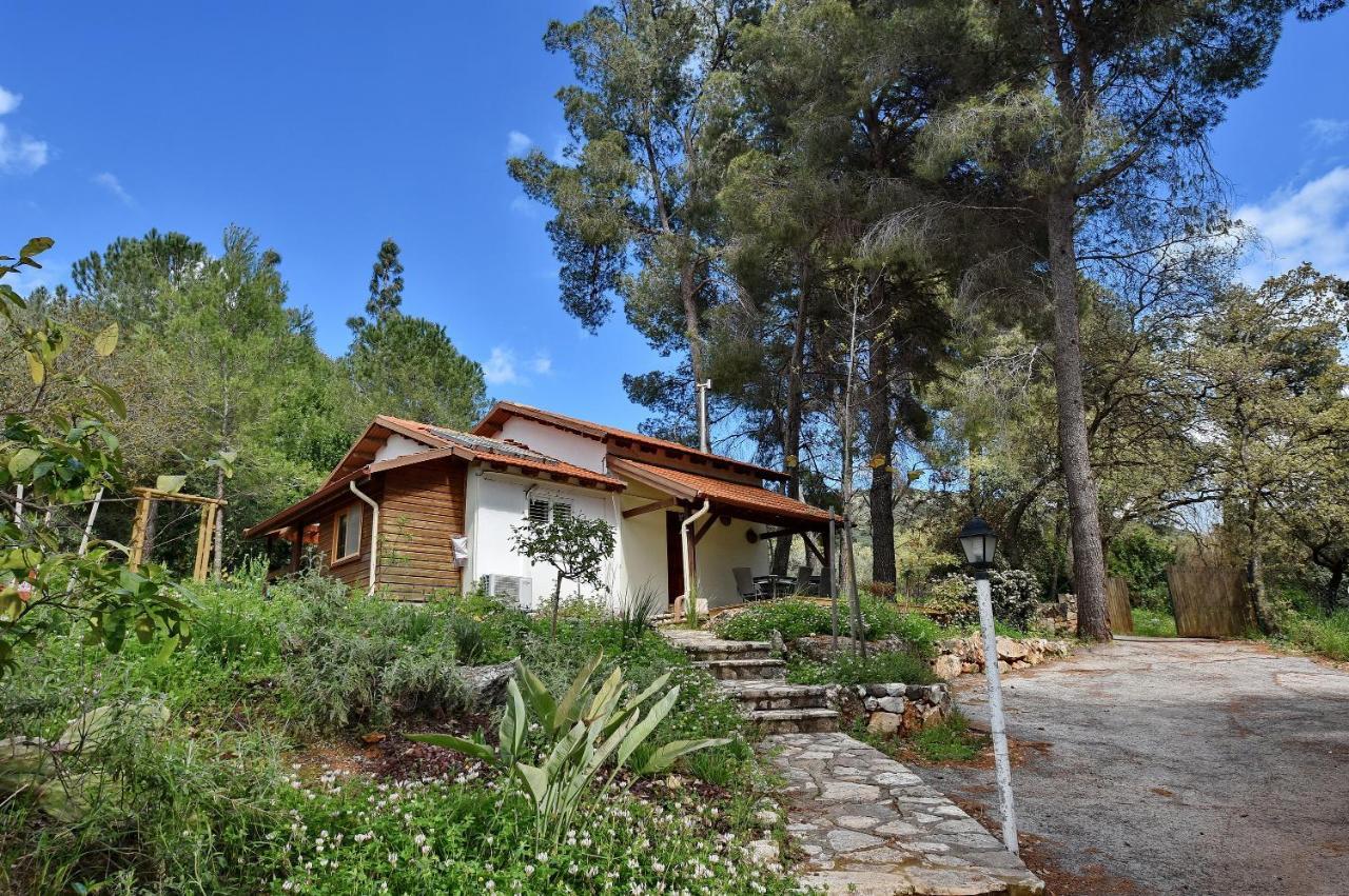 Zimmers At The Forest Amirim Exterior photo