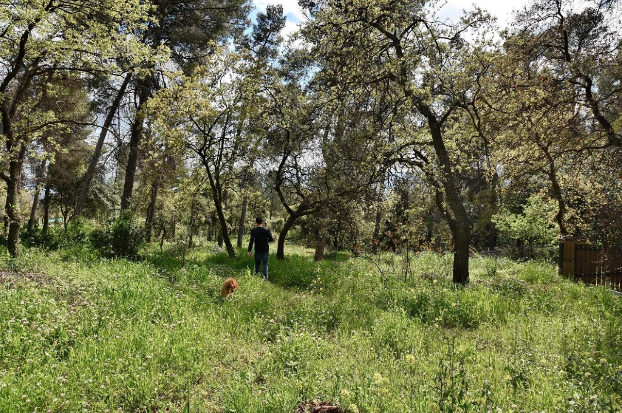 Zimmers At The Forest Amirim Exterior photo