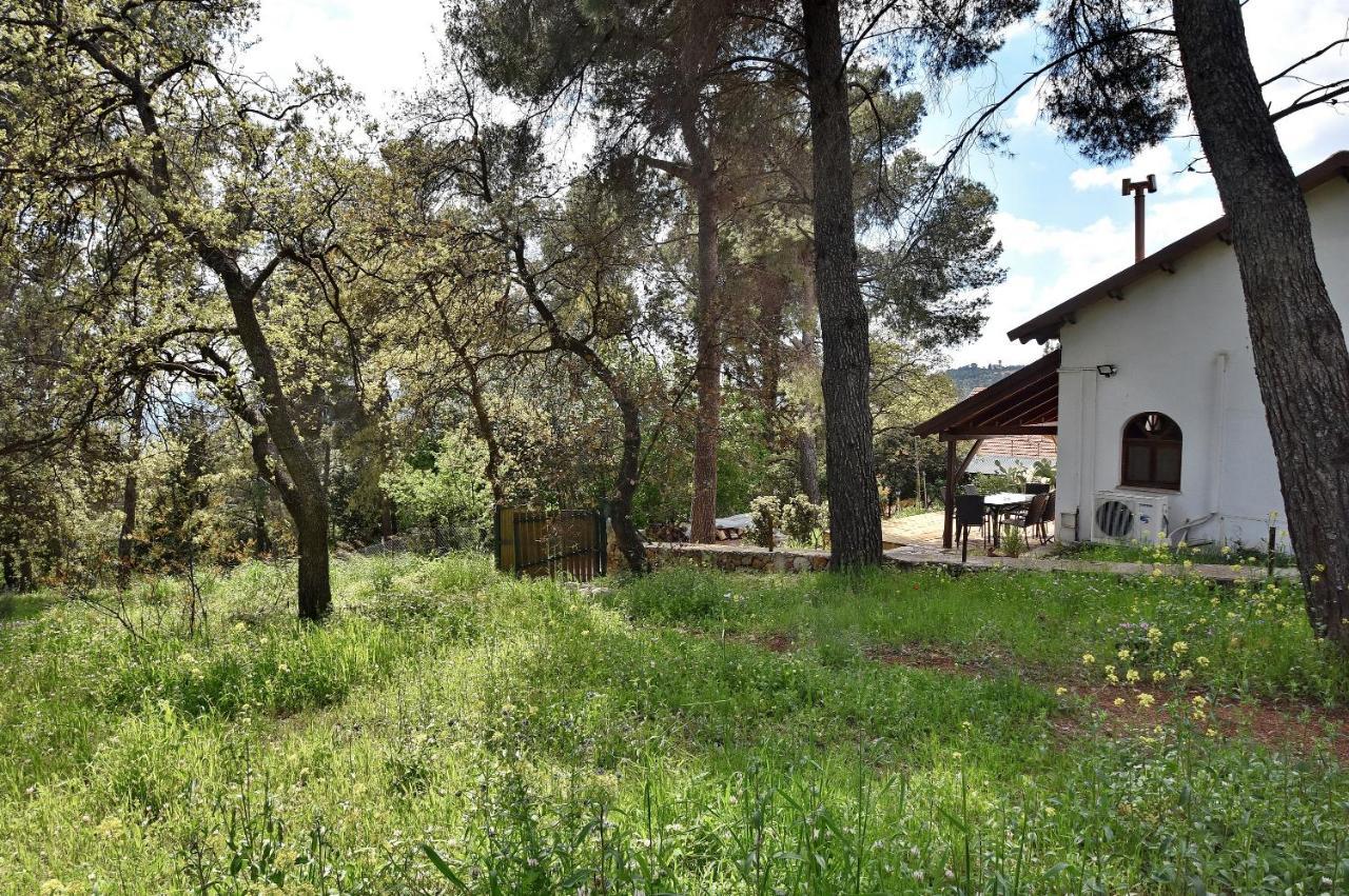 Zimmers At The Forest Amirim Exterior photo